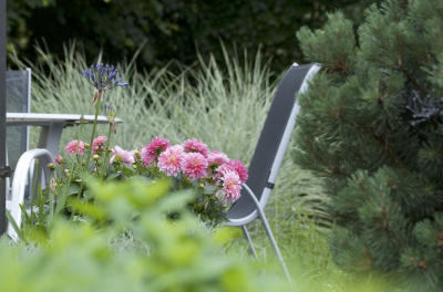 Zahrada Zaječice 2025