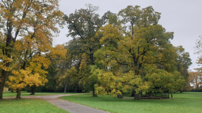 Zámecký park Paskov #3