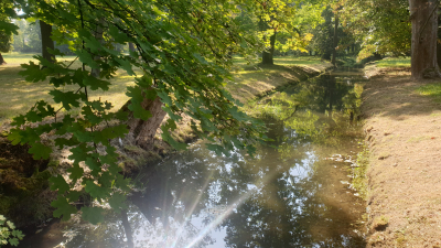 Zámecký park Paskov #1