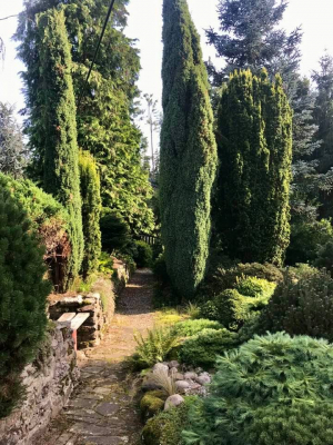 Miniarboretum Újezd nade Mží #2