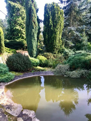 Miniarboretum Újezd nade Mží #0