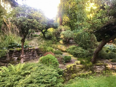 Miniarboretum Újezd nade Mží #4