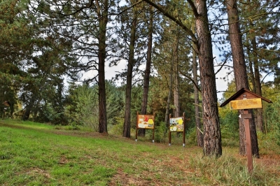 Arboretum Sofronka, Plzeň - Bolevec #1