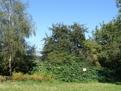 Voňavá zahrada, ZŠ Čestice #2