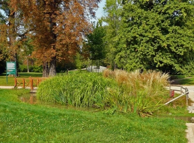 Park Lužánky v Brně #1