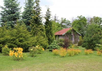 ARBORETUM VE SKOŘÁPCE Z OŘECHU - ŘÍČANY, Bezručova 56 #2