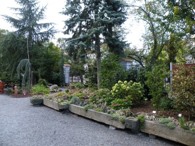 Zahrada gymnázia na Mikulášském náměstí #1