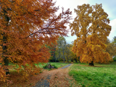 zámecký park Chudobín #3