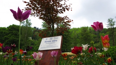 Bečovská botanická zahrada #2