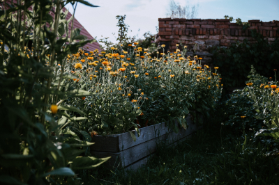 Zahrada Na Roubence #2