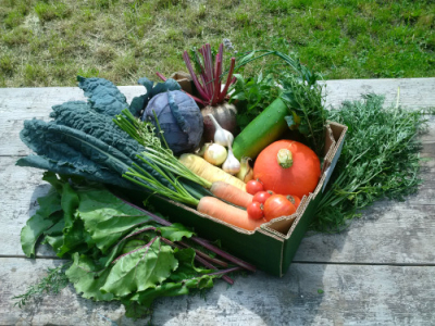 PermaFood #0
