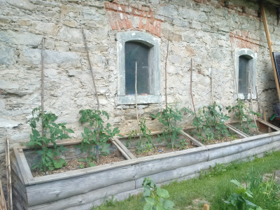 PermaFood #4