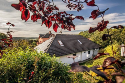 Malá přírodní permakulturní zahrada na okraji velkoměsta  #0