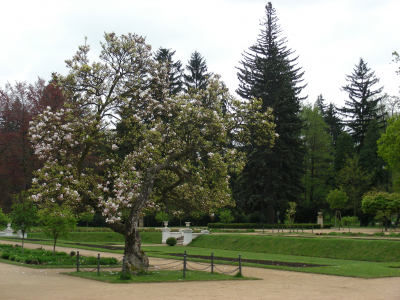 Park Michalov, Přerov #3