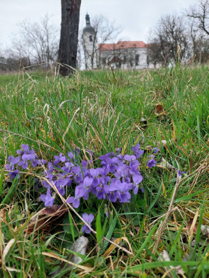 Stará škola na Prusinách, Nebílovy #1