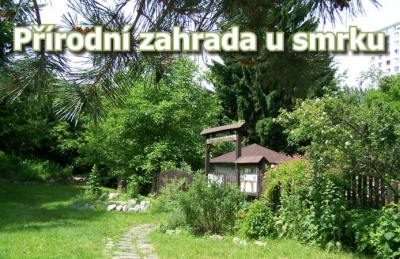 Přírodní zahrada u smrku #0
